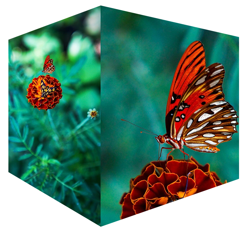 Macro to micro | Praesta Executive coaching