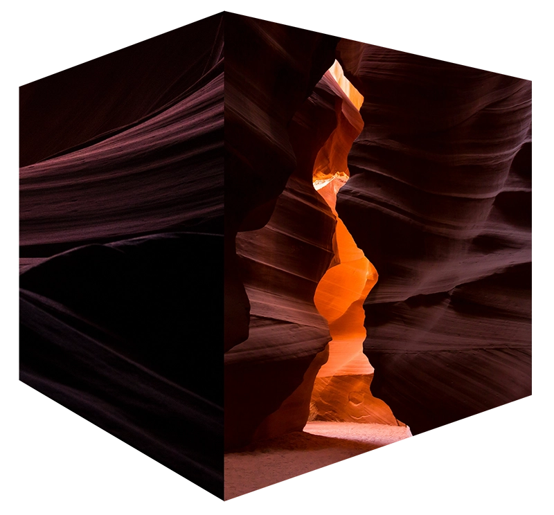 Reveal perspective | Praesta Executive coaching